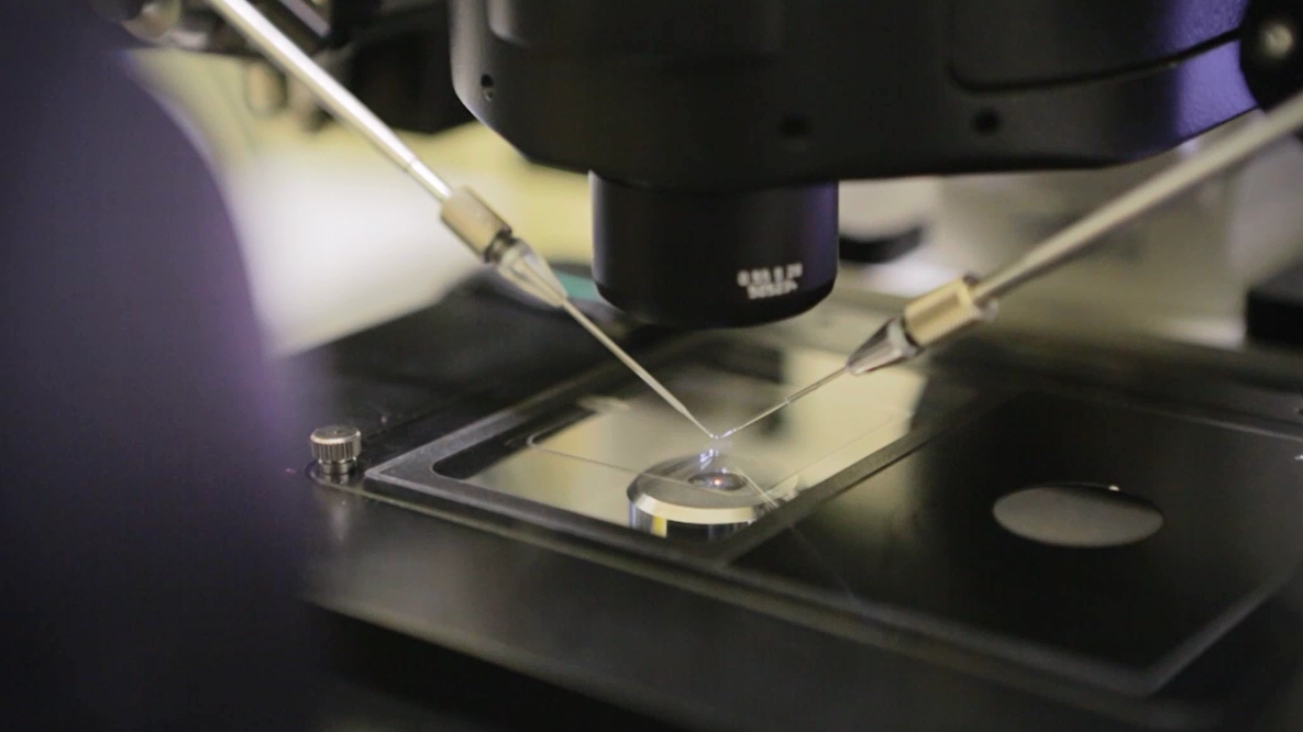 LABO 2 pipettes et microscope