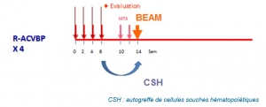 Traitement initial renforcé et conditionnement autogreffe